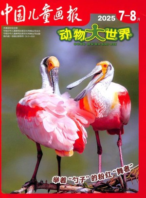 中国儿童画报